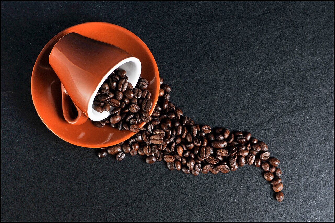 Meilleur café en grains 2026 : comparatif Lavazza, Malongo, Illy, L'Or et Starbucks